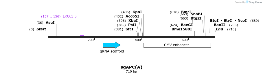 165763_map