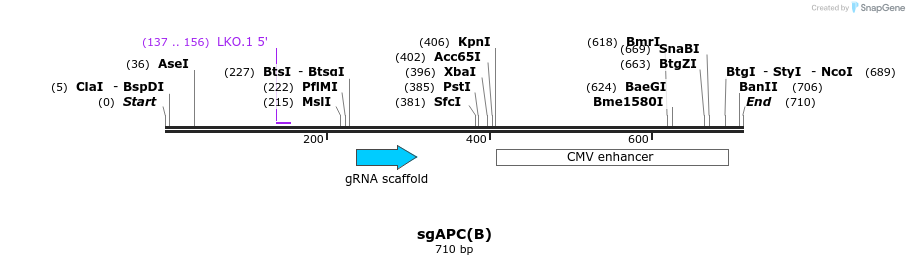 165764_map