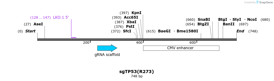 165767_map