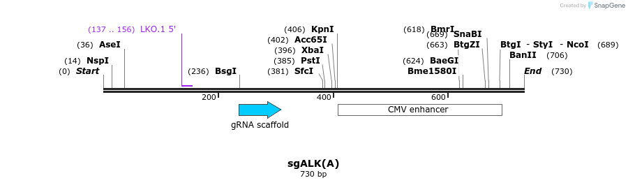 165768_map