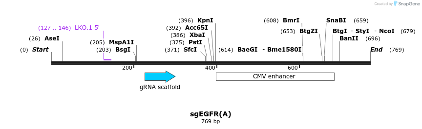 165770_map