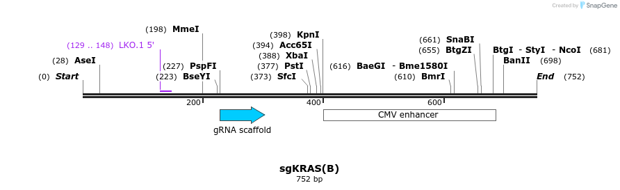 165773_map