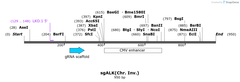 165775_map