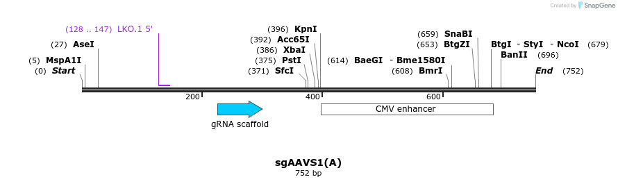 165776_map