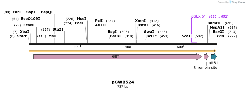 165779_map