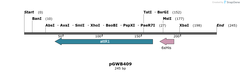 165784_map