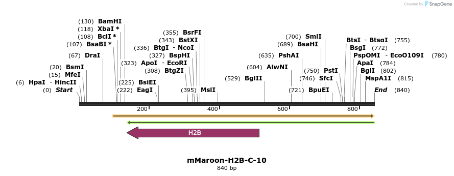165786_map