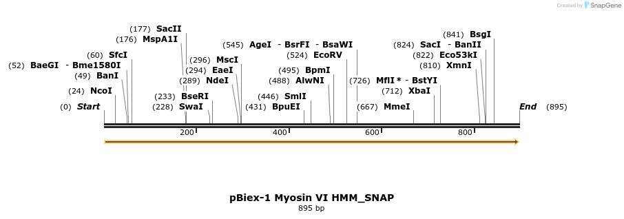 165791_map