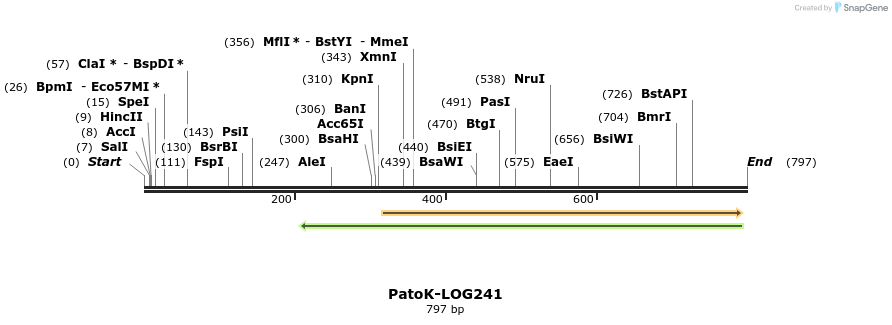 165795_map