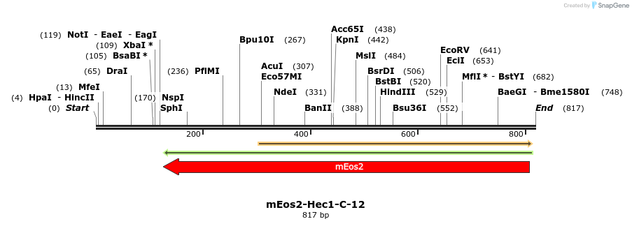 165812_map