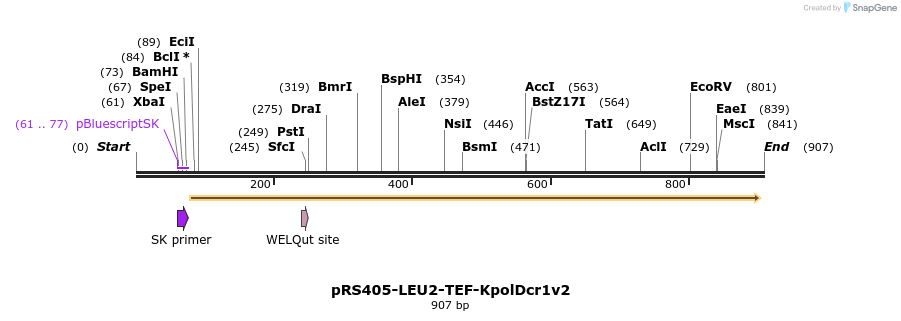 165822_map
