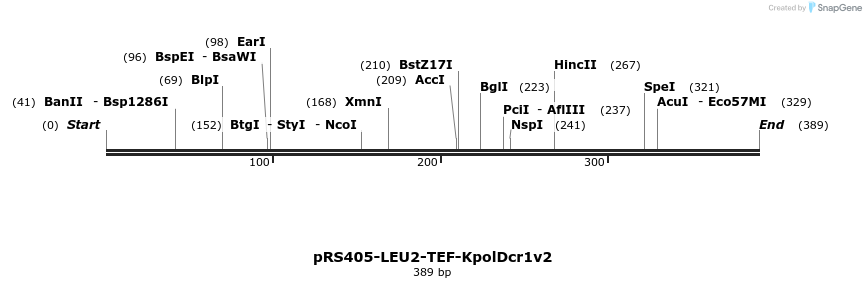 165823_map