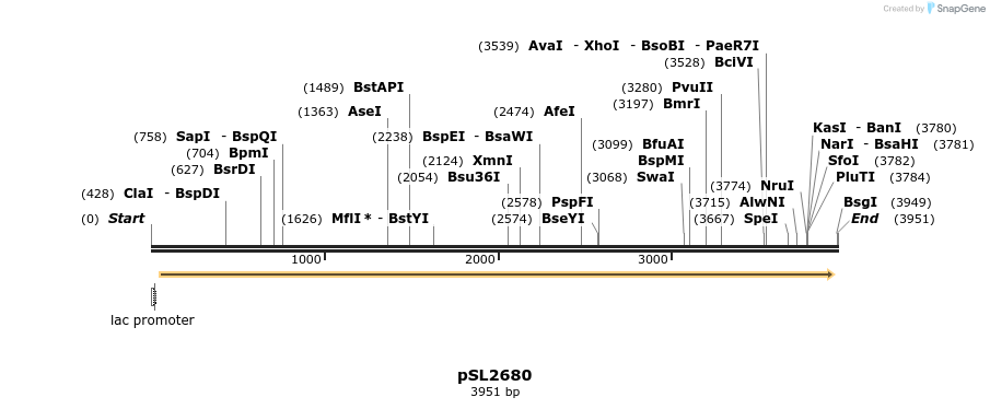 165831_map