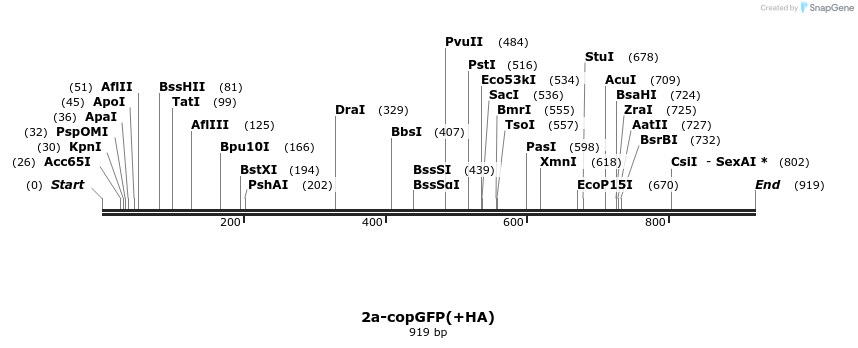 165835_map