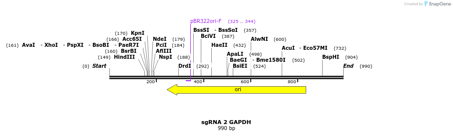 165847_map