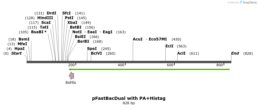 165930_map