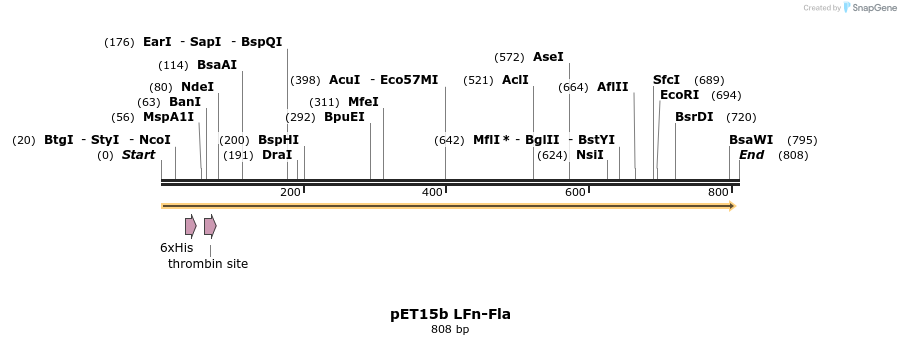 165931_map