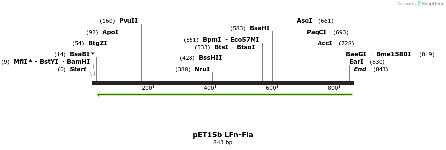 165932_map