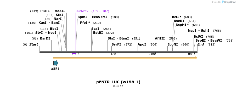 165937_map