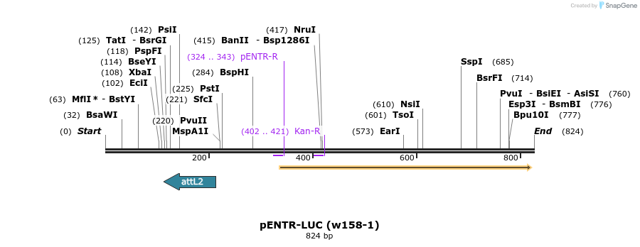 165940_map