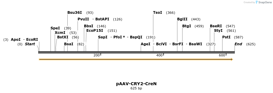 165961_map