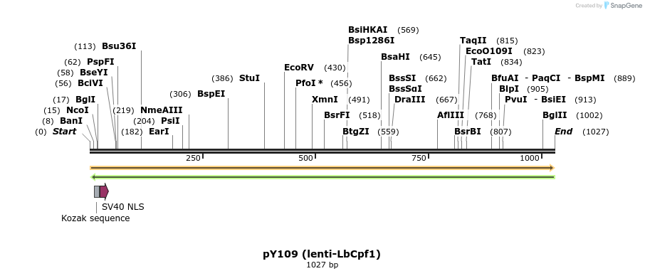 165967_map