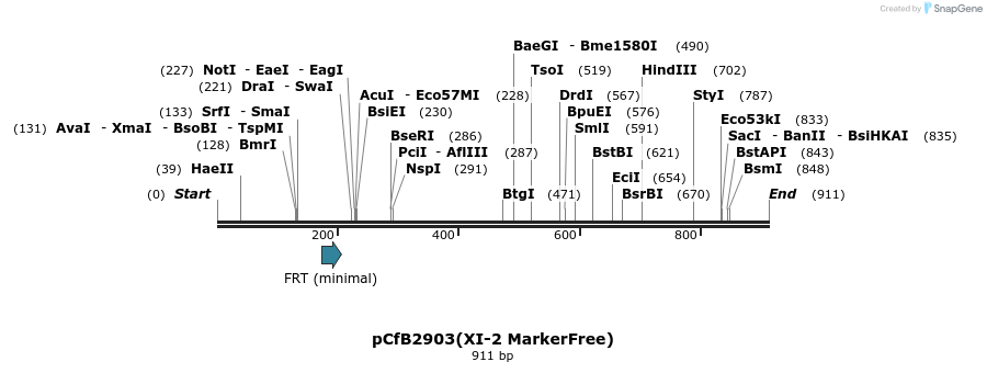 165985_map