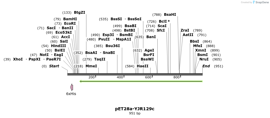 165992_map