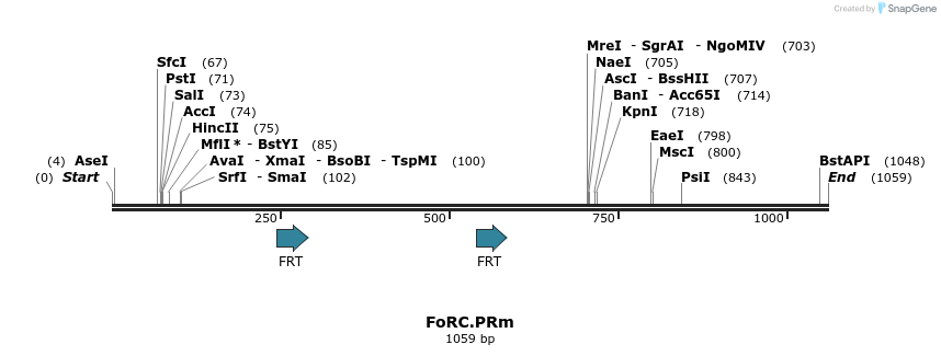 165996_map