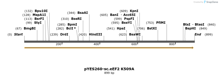 166005_map