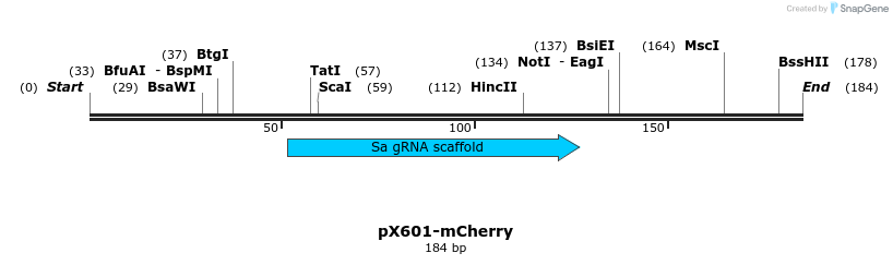 166006_map