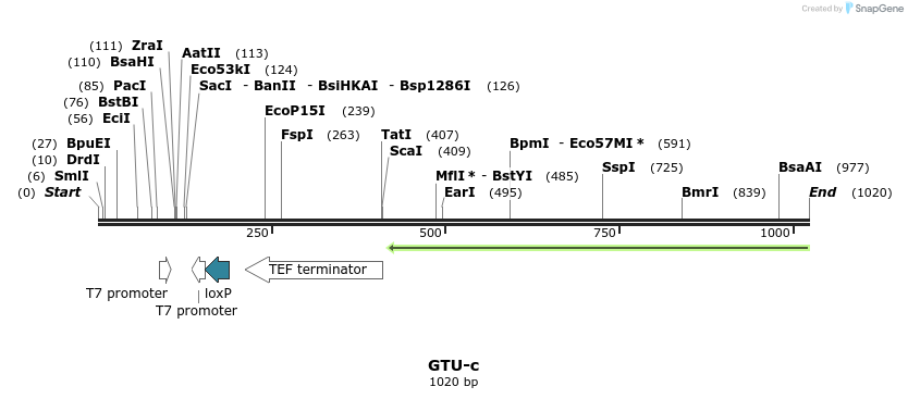 166008_map