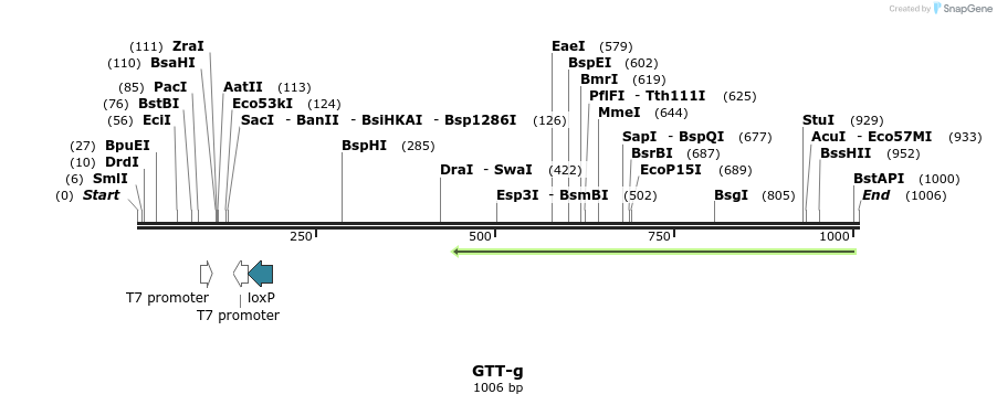 166009_map