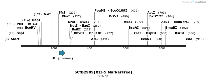 166012_map