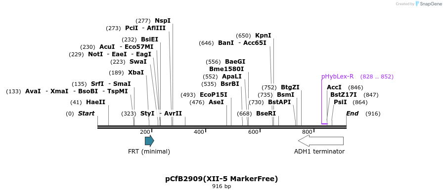 166013_map