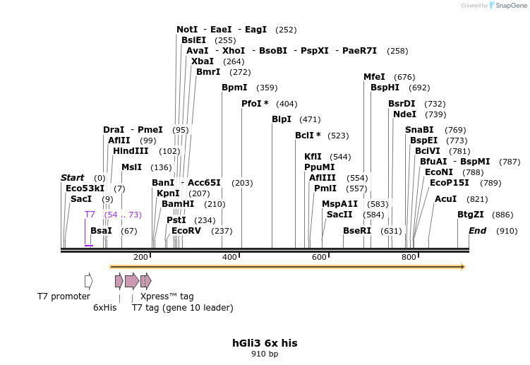 166016_map