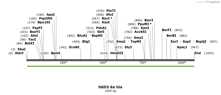166017_map