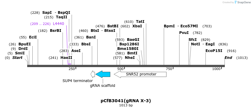 166020_map