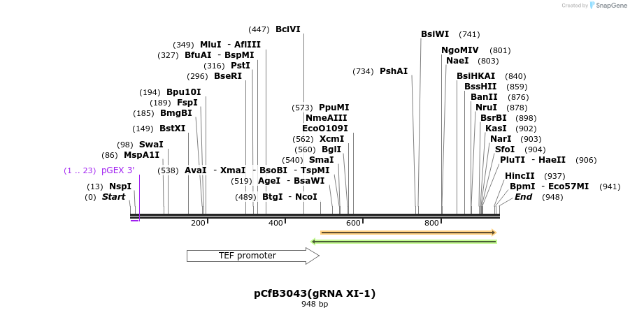 166021_map