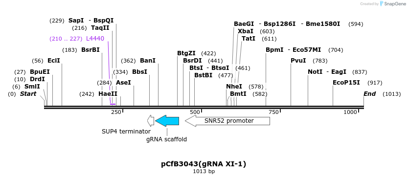 166022_map