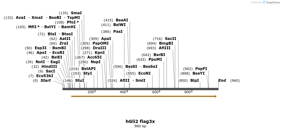 166024_map