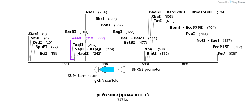 166029_map