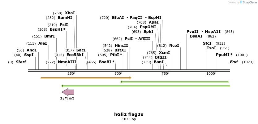 166030_map