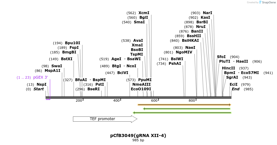 166035_map