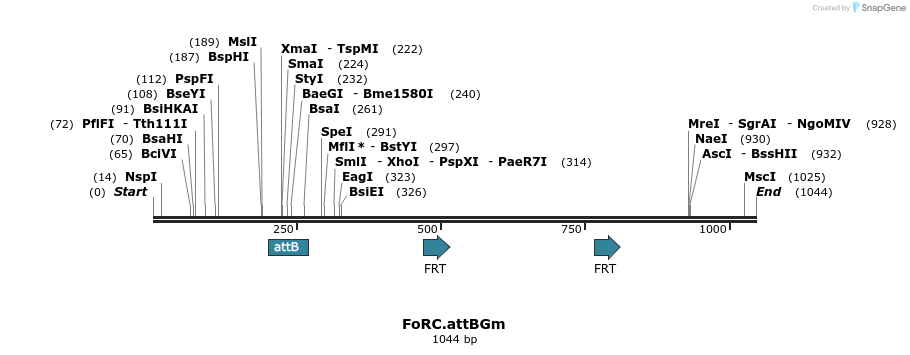 166037_map
