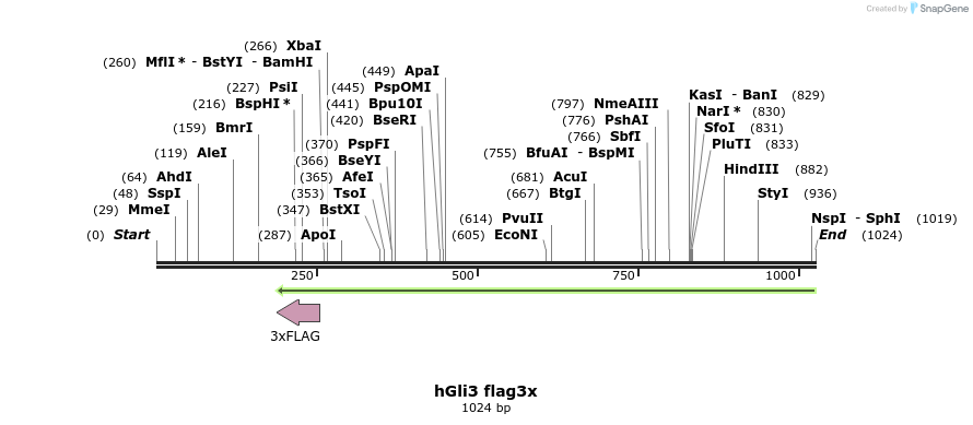 166044_map