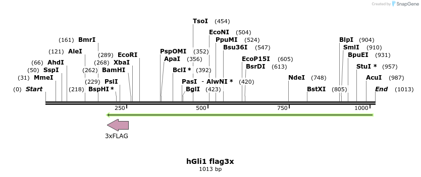166051_map