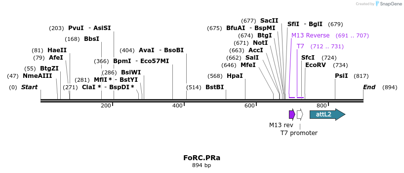 166055_map