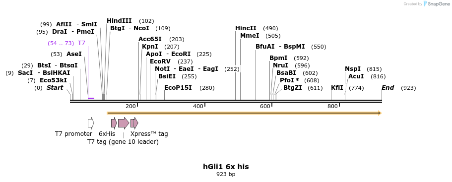 166058_map