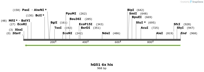 166059_map